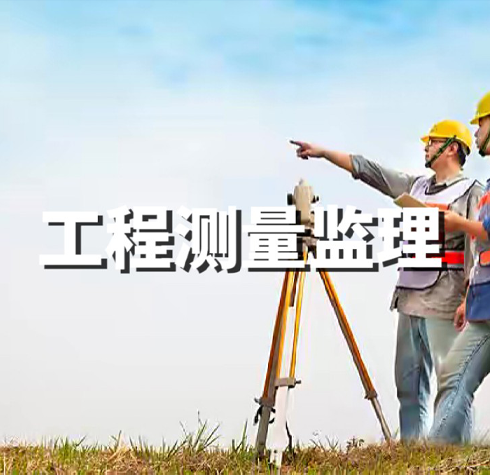 工程測量監(jiān)理