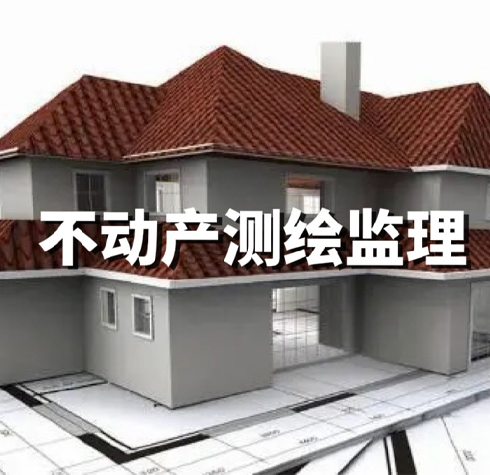 不動(dòng)產(chǎn)測繪監(jiān)理