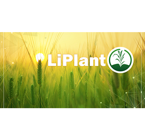 LiPlant表型數(shù)據(jù)處理軟件